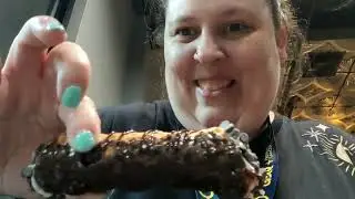 Watch Me Lose Over 100 Lbs: Day 55: Hello Pittsburgh
