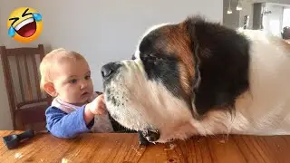 Dog Can&rsquo;t Control His Emotions At First Time Seeing His Baby Sister 😂