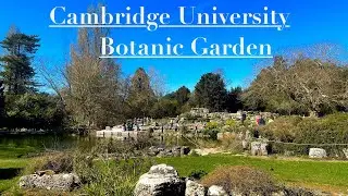 Cambridge University Botanic Garden - April 2025