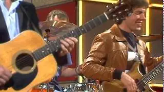 The Shadows - The Rise and Fall of Flingel Bunt (1981)