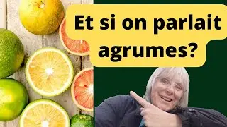 Les agrumes. Petit topo sur quelques vari&eacute;t&eacute;s d'agrumes.