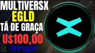 MULTIVERSX (EGLD) - BLOCKCHAIN PR&Oacute;PRIA E SUPER R&Aacute;PIDA -  PODE SUBIR + DE 1.000% (10X)