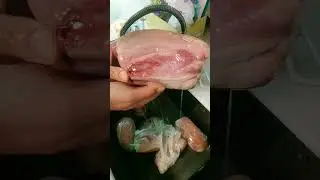 Копчёное сало! сварили промыли и подвесили! часть 8