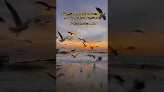 #naturemusic #господь #радость #радостьвгосподе #бог #библияговорит #библия_слушать #shorts #short