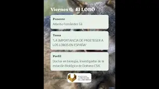 La importancia de proteger a los lobos en España