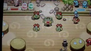 Ludicolo's Dance