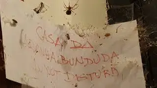 A casa da Aranha Bunduda
