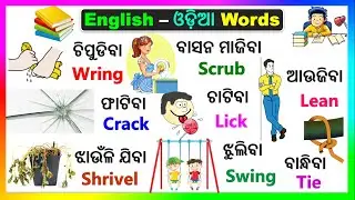 Daily use English Odia words | word book | English odia dictionary | Basic Word meaning practice |
