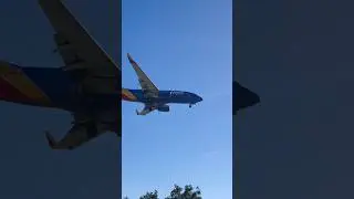Southwest Airlines Boeing 737 MAX 8 Landing in LAX! #aviation #losangeles
