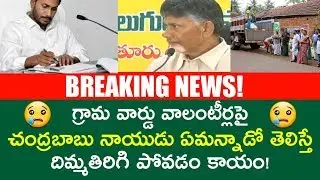 Chandrababu naidu shocking comments on grama volunteers