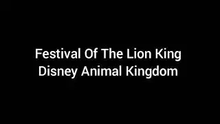 Festival Of The Lion King - Disney's Animal Kingdom (cover)