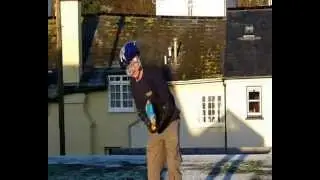 Seagull Surprise
