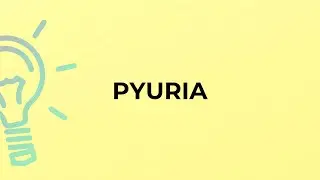 What is the meaning of the word PYURIA?