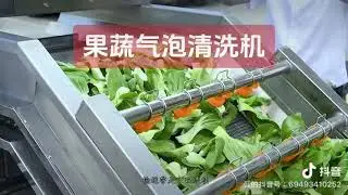 Fruit and vegetable cleaner
