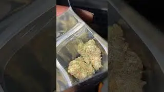 BIG DURBAN POISON😎🔥