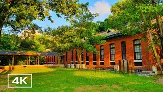 【4K】Exploring National Cheng Kung University Li-Hsing Campus, Tainan, Taiwan ｜探索成大力行校區｜Ambient Sound
