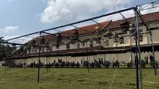P4LSI NATIONAL DOVE COMPETITION IN TULUNGAGUNG, EAST JAVA #shorts #perkututgacor #birdcompetition