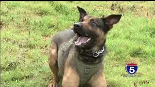 K9 saves suspected criminal