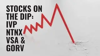 Discounted IVP, NTNX, VSA & GORV Stocks