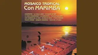Acapulco Rock