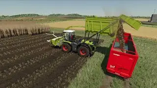 FS22 Harvesting poplar on Zielonka