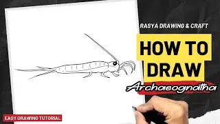 How to draw Archaeognatha