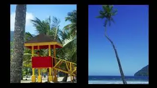 Mat Britain | Bluewater Reggae | for Steel Band