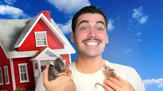 My mice move house&hellip; and everything goes wrong