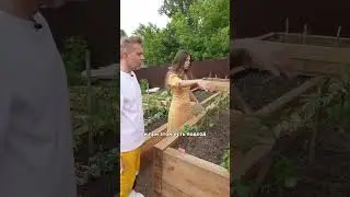 ПЕРЕСТАНЬТЕ делать обычные грядки! #сад #огород #дача