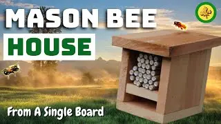 How To Build a MASON BEE HOUSE - From SINGLE FENCE BOARD - Easy DIY