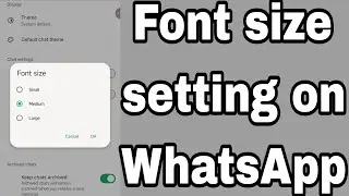 Font size setting on WhatsApp