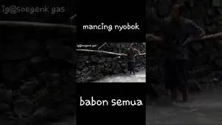 Cara nutul ikan melem#shortsbeta #nutulmelem #nilembabon #mancingmelem