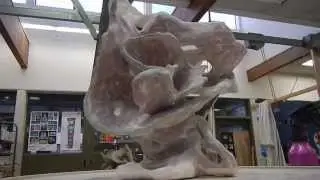 Coral Creation in Porcelain Displaying Red Flesh Faces