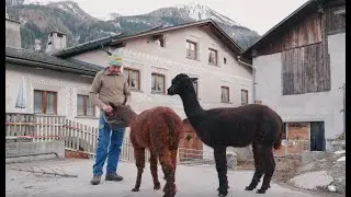 Augustin Oswald: Biobauer und Leiter der Skischule
