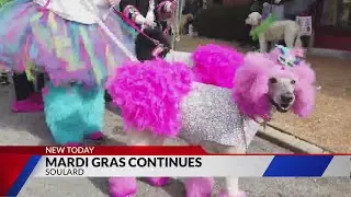 Purina Pet Parade draws large crowd of pets, humans