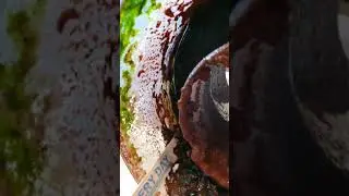 Protien skimmer on huge 55 foot around saltwater pond