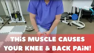 Stop Nighttime Knee Pain! The Hidden Muscle Fix (Works for Back Pain Too!)