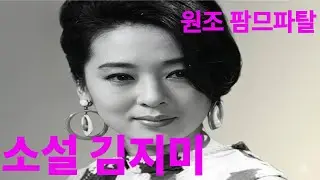소설 김지미