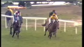 1989 Christie's Foxhunter Chase Challenge Cup