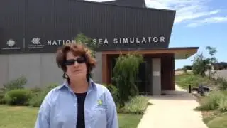 Saving Coral: SCBI's Mary Hagedorn at Australia's Sea Simulator