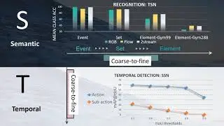 FineGym: A Hierarchical Video Dataset for Fine-Grained Action Understanding