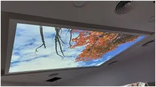 Stretch ceiling with LED backlit and 3D picture print #Shorts