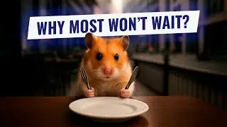 Hamster Feed: The Price of Long-Term Success
