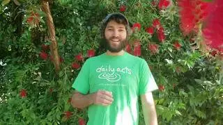 Transplanting with Daily Acts