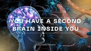 You Have a Second Brain Inside You 🧠✨