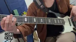 Billyrrom -  unknown island (bass cover)