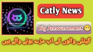 Catly.io Big Announcement | Catly.io Airdrop Withdrawal | Catly.io scam or legit | Catly Update |