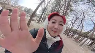 South Korea Winter Trip - Part 2 (Raw Videos) Nami Island, Petite France & Elysian Ski Resort 