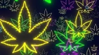 The Science Behind Weed: Why It Works! Ai created
