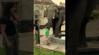 The Child and the Elephant &ndash; A Gentle Giant&rsquo;s Love